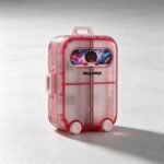 7-Compartment Suitcase Pill Box 10